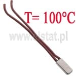 Termostat 100°C; bimetaliczny; metalowy; 6A/250V; NC